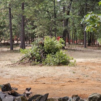 Morgan Tree Service - Tree Services Near Me Morgan Tree Service - Tree Services Near Me
