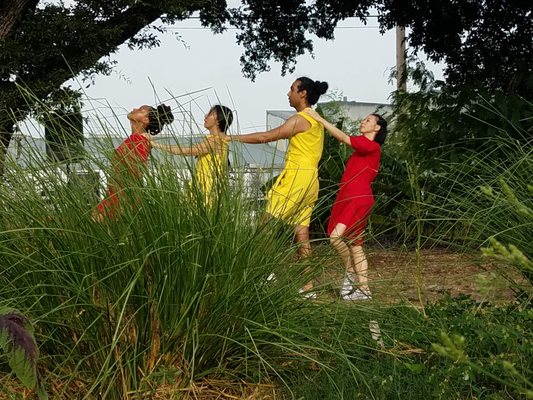 Finca Tres Robles by null