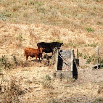 Hiddenbrooke Trail - Photo taken on 6/15/2018 - Hiking Near Me - Vallejo, California Hiddenbrooke Trail - Photo taken on 6/15/2018 - Hiking Near Me - Vallejo, California
