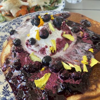 Sugar and Scribe  - Blueberry love - Bakeries Near Me - La Jolla, California