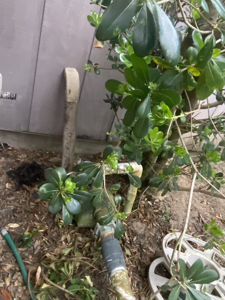 Slide of Coastal Roofing Professionals