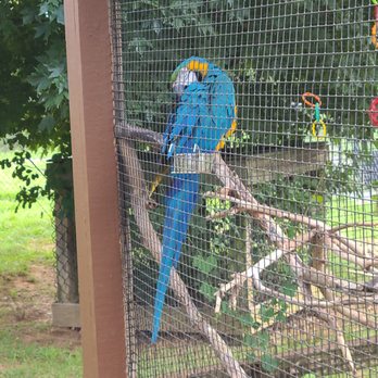 Nova Wild - Petting Zoos Near Me - Vienna, Virginia
