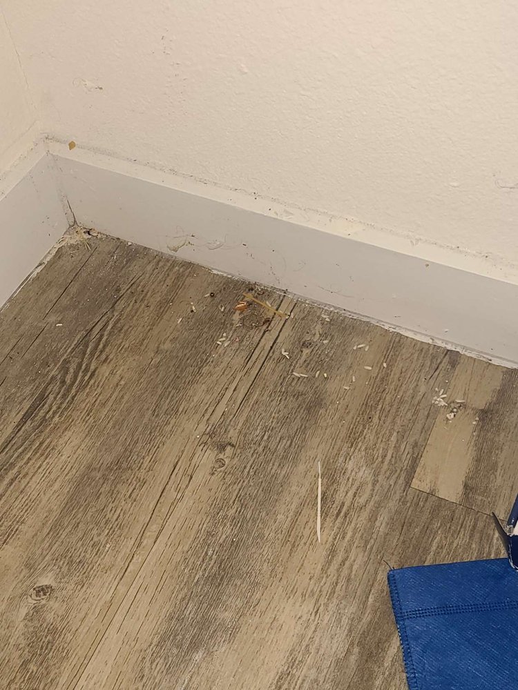 LEGENDS KINGSVILLE Updated October 2024 15 Photos & 18 Reviews