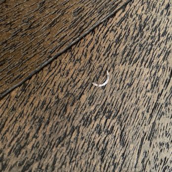 Uncle Julio's - a half moon on a wood floor - Mexican Near Me - Gainesville, Virginia Uncle Julio's - a half moon on a wood floor - Mexican Near Me - Gainesville, Virginia