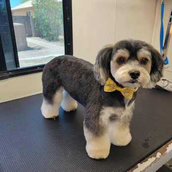 Embie's Pet Grooming - Pet Groomers Near Me Embie's Pet Grooming - Pet Groomers Near Me