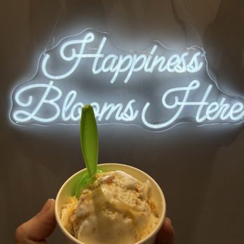 Frozen Bloom Creamery - Peach cobbler gelato! - Ice Cream & Frozen Yogurt Near Me - Destin Florida, Florida Frozen Bloom Creamery - Peach cobbler gelato! - Ice Cream & Frozen Yogurt Near Me - Destin Florida, Florida