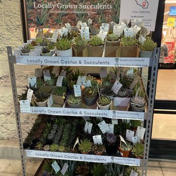 Vons - Grocery Near Me - Nipomo, California Vons - Grocery Near Me - Nipomo, California