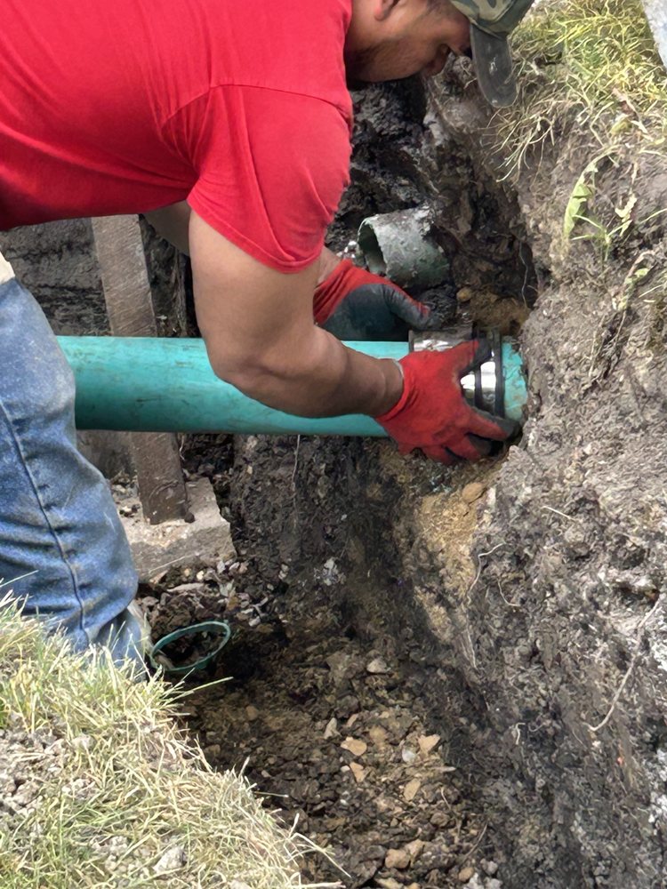 Slide of The Fair Plumber