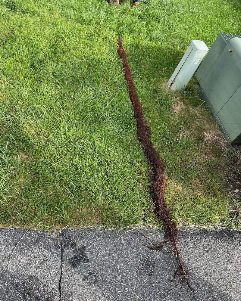 Slide of Electric Snake Sewer and Drain Service