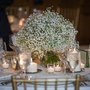 Photo of Plum Gallery Floral and Events