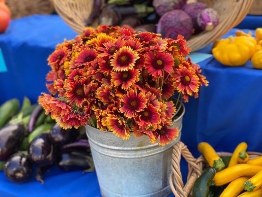 Temescal Farmer's Market by null