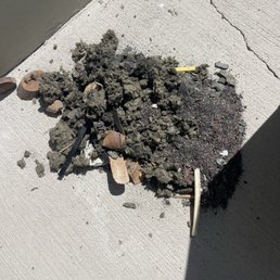 Old debris