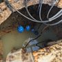 Certified Septic