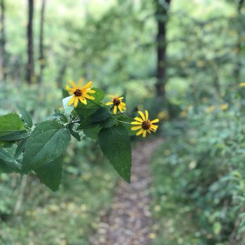 Leslie Science & Nature Center - Hiking Near Me - Ann Arbor, Michigan Leslie Science & Nature Center - Hiking Near Me - Ann Arbor, Michigan