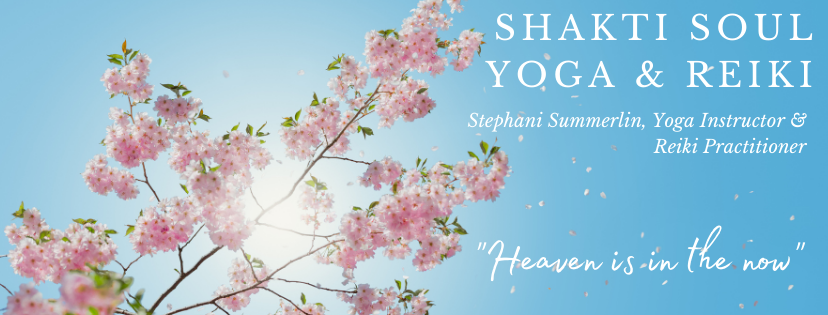 Shakti Soul Yoga & Reiki Logo