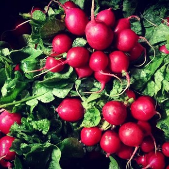 Lee's Produce - Radishes - Fruits & Veggies Near Me - Seattle, Washington Lee's Produce - Radishes - Fruits & Veggies Near Me - Seattle, Washington