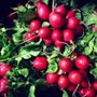 Photo of Lee's Produce