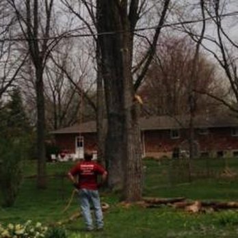Coleman Lawn and Tree Services - Coleman Tree Service - Tree Services Near Me - Springfield, Ohio