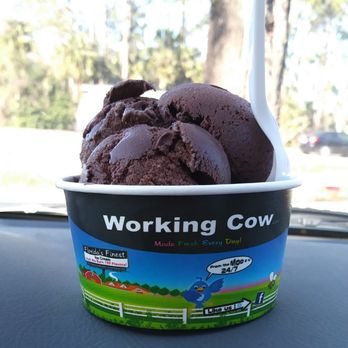 Roosters Farm Stand - Regular scoop of Dutch Chocolate Ice Cream. It was delicious! - Farmers Market Near Me - Alva, Florida