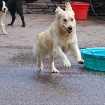 The BarnYard Pet Ranch - Pet Boarding Near Me - Carbondale, Colorado