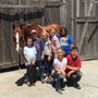 Photo of Thompson Quarter Horses