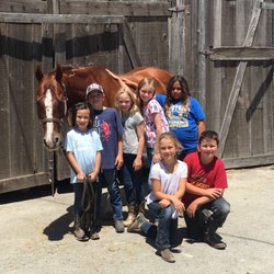 Thompson Quarter Horses