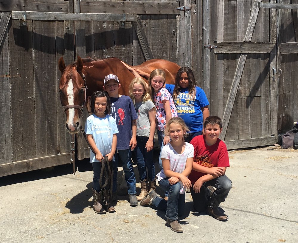 THOMPSON QUARTER HORSES Updated September 2024 1775 Old Adobe Rd