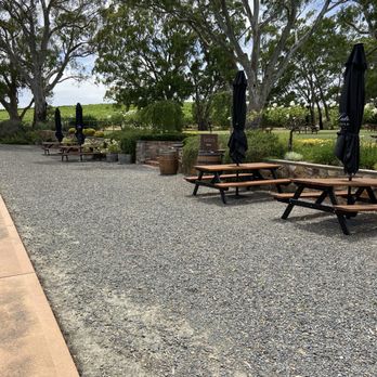 St Hallett Wines - Outside seating next to the vineyard - Wineries Near Me - Tanunda, SA