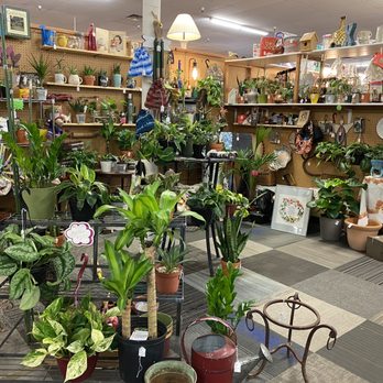 Call It New Call It Antique - Plant booth - Used, Vintage & Consignment Near Me - Mesa, Arizona