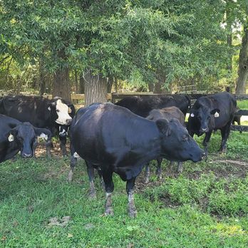 Braehead Farm - Farmers Market Near Me - Fredericksburg, Virginia