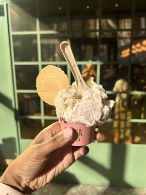 Anita La Mamma del Gelato by null