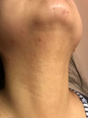 Under Canvas Mount Rushmore by null