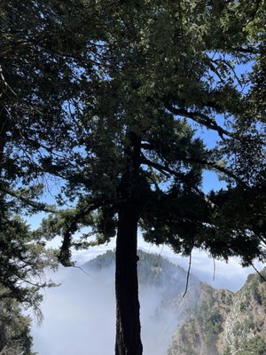 Mount Wilson Observatory by null
