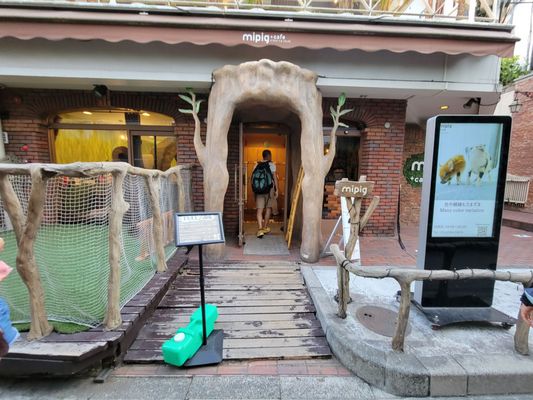 mipig cafe Harajuku by null