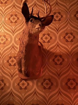 Quality Time by null