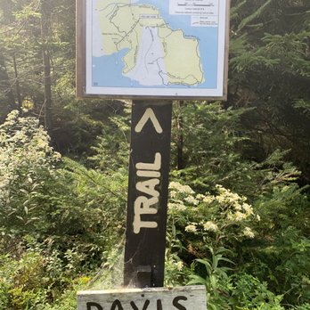 Tennis Preserve Loop Trail - One of two trail markers for the Davis Farm portion of the preserve. - Hiking Near Me - Deer Isle, Maine