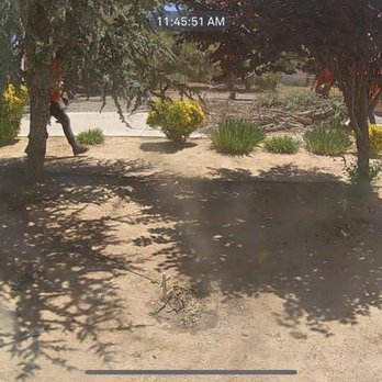 Mason's Treescape - Great crew and all the pro equipment to get the job done well - Tree Services Near Me - Hesperia, California Mason's Treescape - Great crew and all the pro equipment to get the job done well - Tree Services Near Me - Hesperia, California