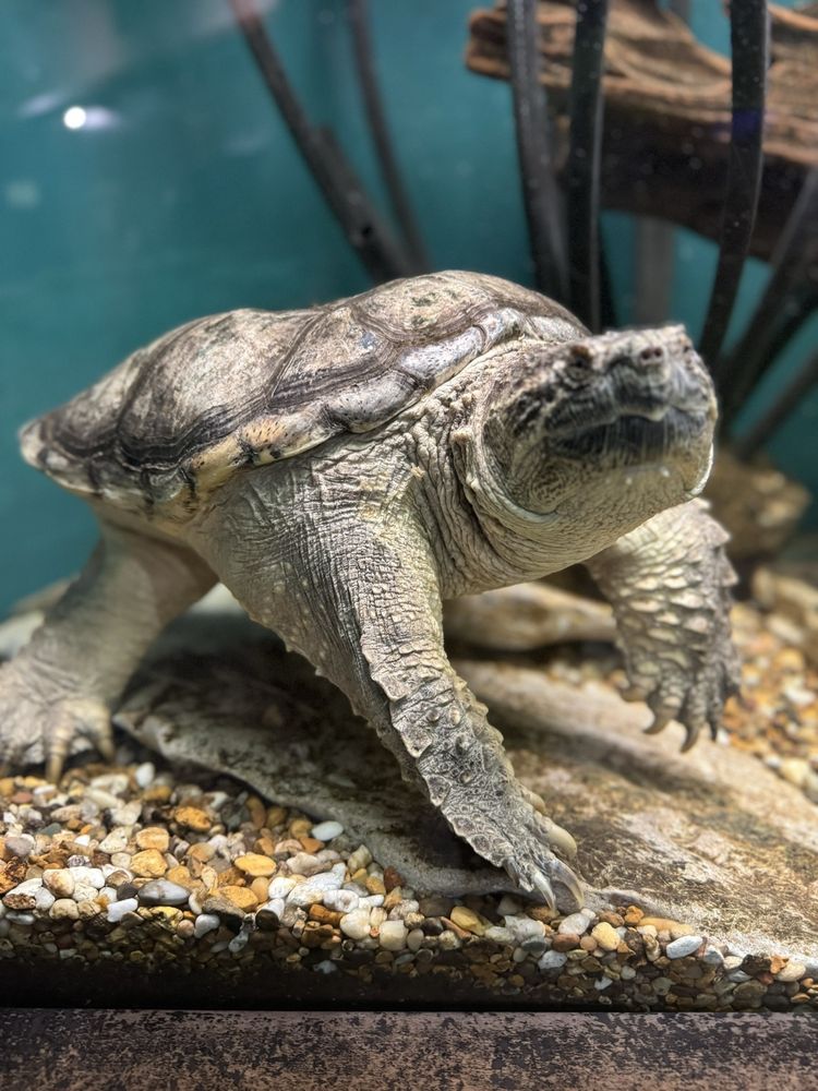 Salato Wildlife Center