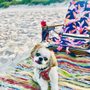Photo of Canova Dog Beach