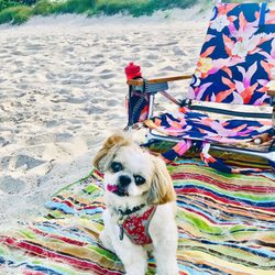 Canova Dog Beach - Yes it's a nice September day, and there is an ocean breeze today!! Love Mocha Coconut!