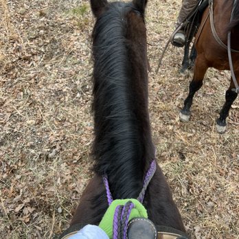 Let’s Ride Horses - On a very secure saddle with Blackie - Horseback Riding Near Me - Hot Springs, Virginia