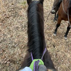 Let’s Ride Horses - On a very secure saddle with Blackie