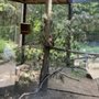 Photo of Squam Lakes Natural Science Center