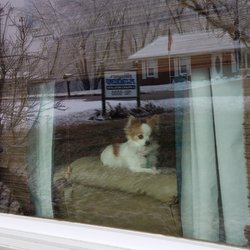 Wenger Plumbing & Appliance Installation - Our late and dearly loved furry 'daughter' was always on the lookout for how we could help our customers