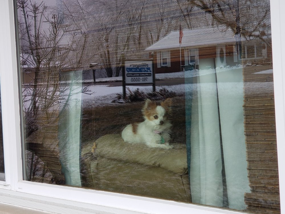 Slide of Wenger Plumbing & Appliance Installation