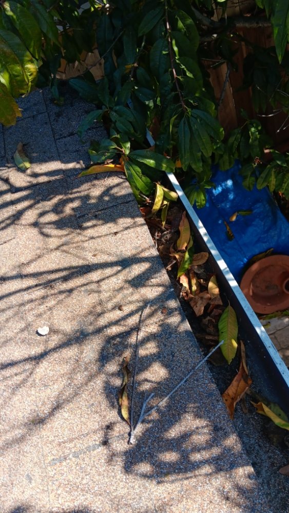 Slide of Fernys Handyman Services And Maintenance