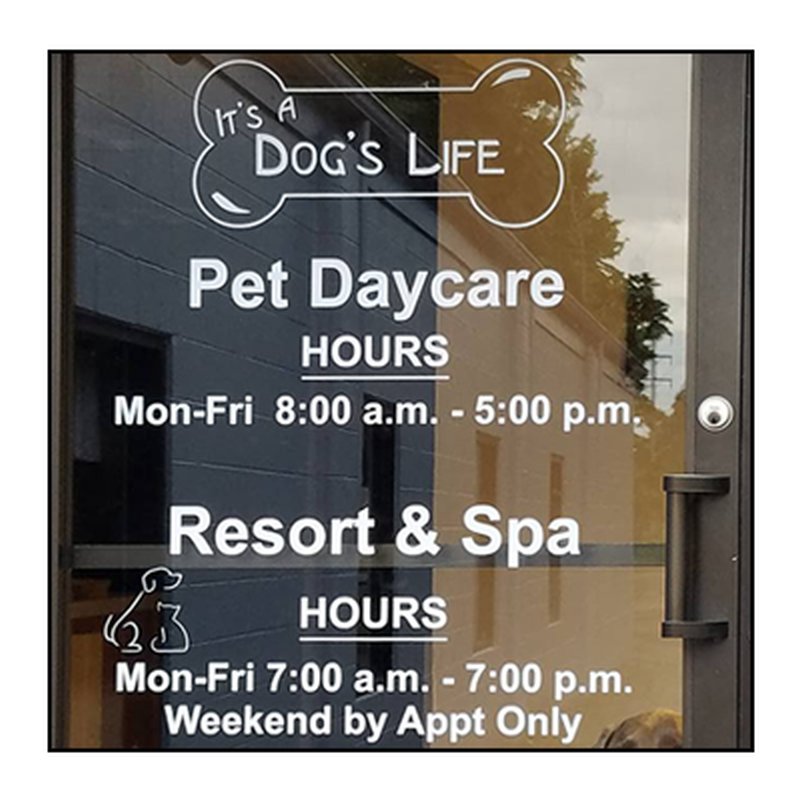 IT’S A DOG’S LIFE PET DAY CARE Updated September 2024 245 S Medina