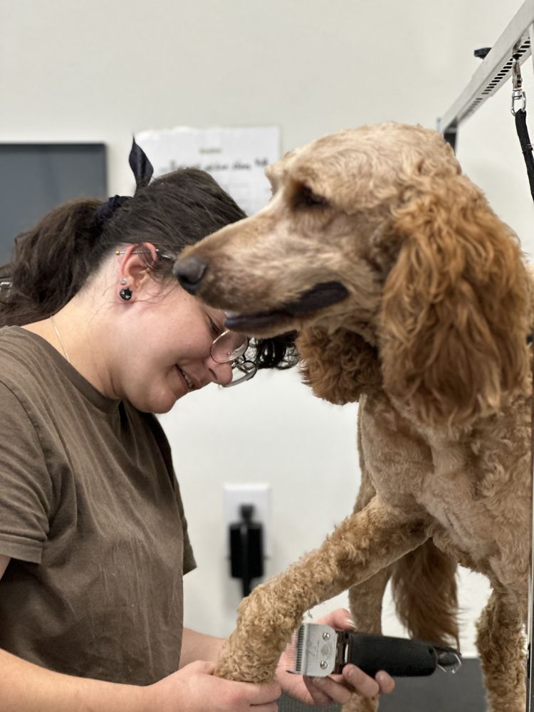 Dogtown Pet Spa - pet boarding facility in Draper, UT