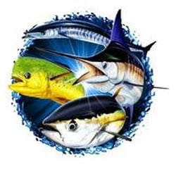 Melton Tackle Newport - Main Logo.