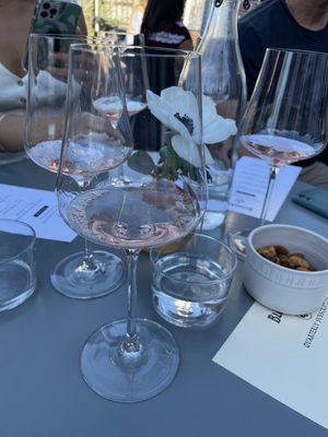 BloodRoot Wines by null